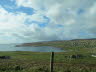 Shetland (46)