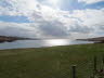 Shetland (48)