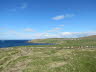 Shetland (59)