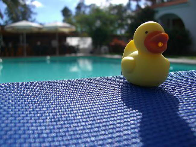 TD by the pool